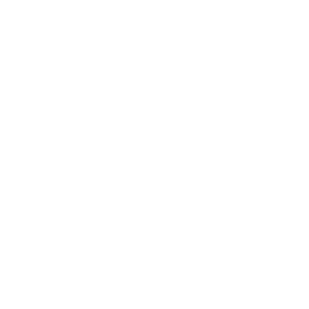 City Wide logo white
